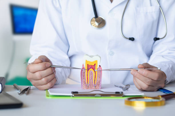 Best Emergency Orthodontic Repairs in Summerlin South, NV